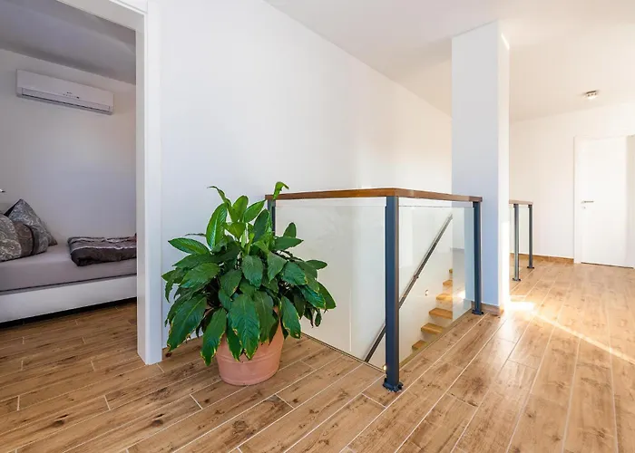 Pet Friendly In With Wifi Srima